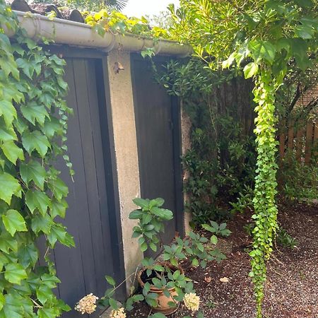 Appartement Cosy Avec Jardin Quartier Calme Toulouse Exterior foto